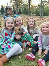 Two by Two Animal Rescue added...