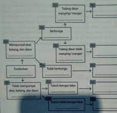 Maybe you would like to learn more about one of these? 3 Lengkapilah Diagram Di Bawah Ini Dengan Jenis Tumbuh Tumbuhan Tersebut Nama Nama Brainly Co Id