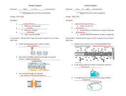 It occurs without the help of any cell organelle. Cell Transport Test Review Key Level