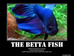 The Betta Fish By Seiraaxis002 On Deviantart