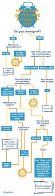 31 Best Funny Flowcharts Images Funny Decision Tree Humor