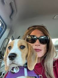 Experiences with Beagles as Pets