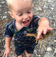 Let's have some fun!! As many of you may know, Mike Payne & family along  with my husband, Larry Rogers and I have a new local business....Worm  Country Castings. Our endearing company