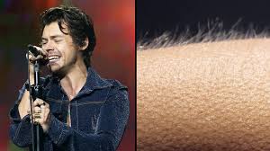 'maybe you get goosebumps and just know that it's one of the best pieces of recorded music you've ever heard.' 'i didn't exactly scream, but i do recall the goosebumps that ran up and down my arms.' If Music Gives You Goosebumps Your Brain Might Be More Special Than Others Popbuzz