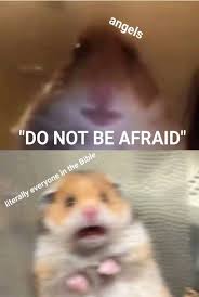 Best Hamster Meme Collection Its So Funny In 2020 Really Funny Memes Funny Hamsters Funny Relatable Memes