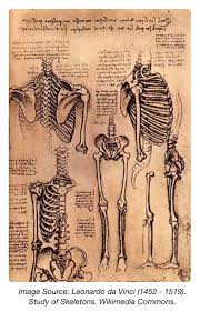 We did not find results for: Forensics And Anthropology Blog How To Become A