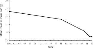 Conservation Status And Causes Of Decline Of Musk Deer