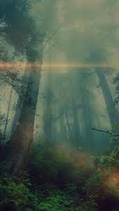 Neon light in forest is free iphone wallpaper. Pin On Wallpaper