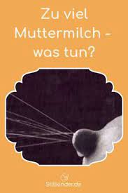 Zu Viel Muttermilch Was Tun Stillkinder De