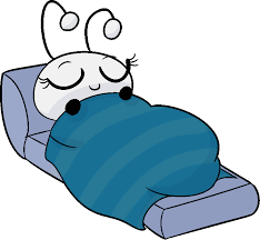 Awesome 20 Pics Snug As A Bug In Rug And View In 2020 Rugs Snug Pics