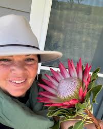 Living my life for ever beautiful flower that comes my way .#king protea  pink ice