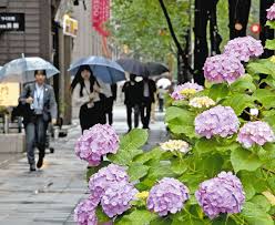 関東甲信が梅雨入りと気象庁が発表 平年より3日遅れ この先1週間もスッキリしない天気になりそう|47NEWS（よんななニュース）