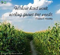 Pin On Stock Show Life Tips Gifts Fashion And Fun