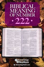 What Does The Number 222 Mean In The Bible Biblical Numbers Numerology Angel Number Meanings