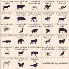 Epingle Par حماده نصر Sur Idioma Arabe Apprendre L Arabe Elephanteaux Apprendre L Islam