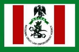 Bert's key technical innovation is applying the bidirectional training of transformer, a popular attention model, to language modelling. 2021 Ndlea Begin Shortlisting If You Applied Last Year See Screening Date And Venue Searchngr