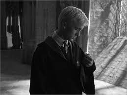 Draco seated himself between crabbe and goyle, as usual, and looked over towards the gryffindor table. The Half Blood Prince Draco Malfoy Portrait With Bird Posters And Prints Posterlounge Com