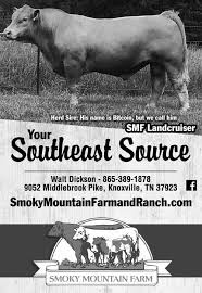 2021 Shorthorn Country July by SCI