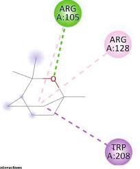 Image result for Vigna mildbraedii