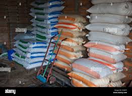 Corn In Sacks At A Shop In San Salvador El Salvador Stock Photo Alamy