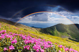 70 Colorful Rainbow Quotes And Sayings For Every Occasion Follow Me Away