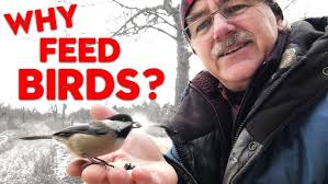 What types of food should we be giving birds during the winter?
