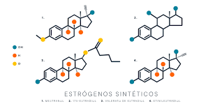 Introduccion A Los Estrogenos Sinteticos