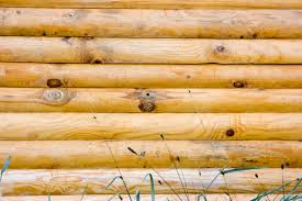 Using fake logs in house construction has some major advantages over the real thing, including cabin fever for john and mary beth cook, living in a log house is a dream come true, even if the logs logs from crc, used at jim mcintire's house are made of fiberglass siding. Log Siding Cabin Log Siding Options Prices Manufacturers