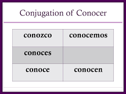 in your notes what are the conjugations of the verbs