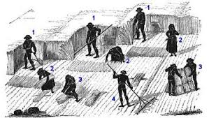 How Did Your Farming Ancestors Harvest A Wheat Field Lovepik > hand drawn wheat field images 410000+ results. farming ancestors harvest a wheat field