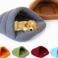 This and that sweet potato treats 30% off⁠ ⁠ a. Top 10 Pet Food Shops And Pet Supplies In Singapore Little Steps