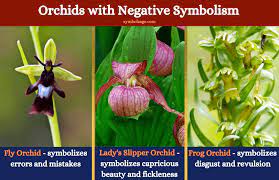 Pin On Plants And Flower Symbols