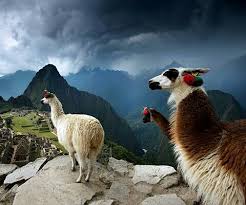 Pin By L O On Not Europe Machu Picchu Photography Machu Picchu Peru Machu