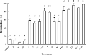 Image result for Haumaniastrum