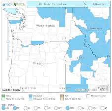 Custer county is located in the state of idaho. Https Www Oregon Gov Oda Shared Documents Publications Weeds Hoaryalyssumplantpestriskassessment Pdf