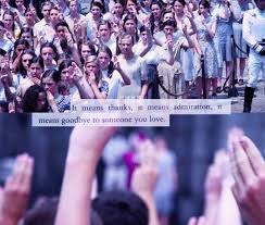 Pin By Beatrixxbeatrixx On Hunger Games In 2020 Hunger Games Fandom Hunger Games Hunger Games Catching Fire