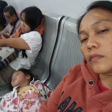 What is the identity of this fly-bee bug thing?