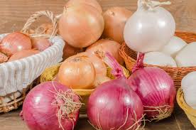 Onion | Description, History, Uses, Products, Types, & Facts ...