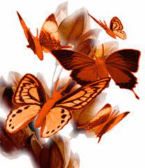 Pin by Marie Celine on Butterfly