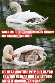 Meme Center Largest Creative Humor Community Animals Baby Animals Cute Animals