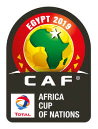 Africa Cup Of Nations 2019 Logo Logo Infographic Soccer Logo Football Logo