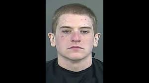 Victims chase down van thief, hold him at gunpoint, deputies say