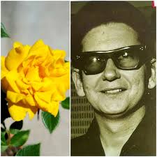 Roses planted as tribute to dad unharmed by sun