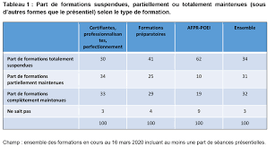 Des financements sont possibles par le cpf, opco, pole emploi, fifpl. 48 Des Formations Pole Emploi Transformees En Formations A Distance