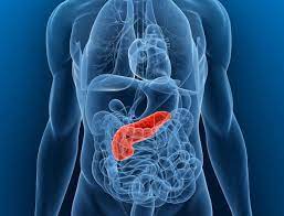 What are the warning signs of pancreatitis. 5 Warning Signs Your Pancreas Is In Trouble Geelong Medical Health Group