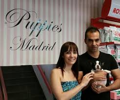 Despues De Un Gran Debate Entre Bulldog Ingles O Frances Esta Pareja De Decanto Por Este Pequenoo Jugeton Y Carino Bulldog Frances Bulldog Ingles Bulldog