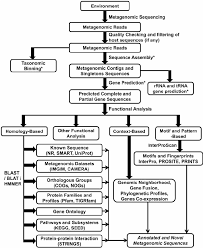 Flow Chart For The Analysis Of A Metagenome From Sequencing