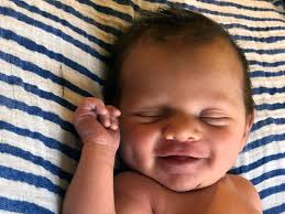 Lifecycles for the week of June 2, 2017