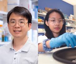 Creating the “Internet of Life”