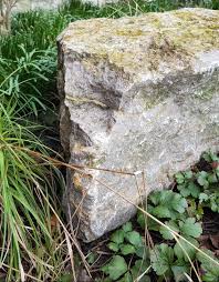 Sitzstein Muschelkalk Im Beet Garten Landschaftsbau Gartenbau Muschelkalk